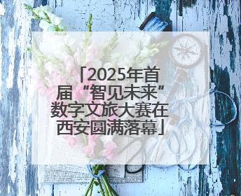 2025年首届“智见未来”数字文旅大赛在西安圆满落幕