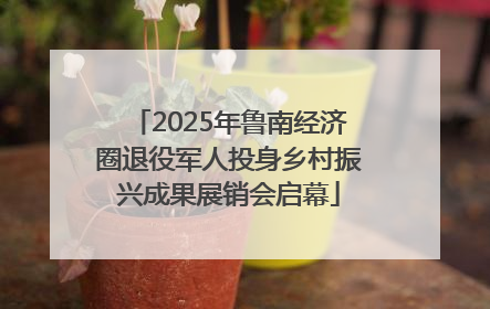 2025年鲁南经济圈退役军人投身乡村振兴成果展销会启幕