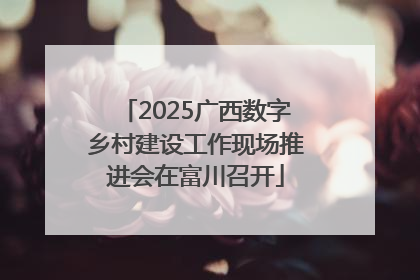 2025广西数字乡村建设工作现场推进会在富川召开