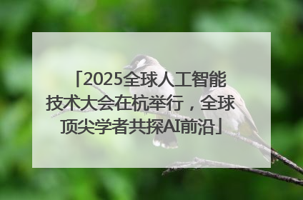 2025全球人工智能技术大会在杭举行，全球顶尖学者共探AI前沿