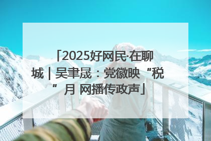 2025好网民·在聊城｜吴聿晟：党徽映“税”月 网播传政声