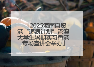 2025海南自贸港“逐浪计划”港澳大学生暑期实习香港专场宣讲会举办