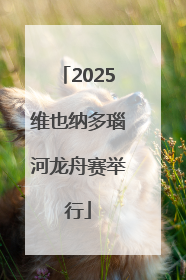 2025维也纳多瑙河龙舟赛举行