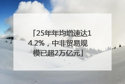 25年年均增速达14.2%，中非贸易规模已超2万亿元