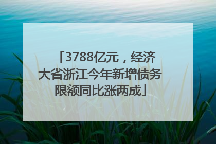 3788亿元，经济大省浙江今年新增债务限额同比涨两成