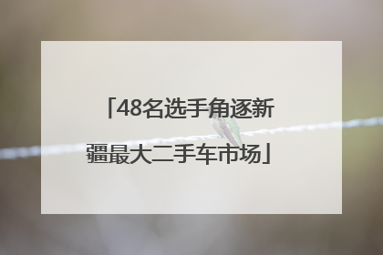48名选手角逐新疆最大二手车市场