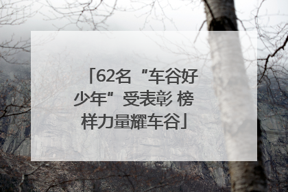 62名“车谷好少年”受表彰 榜样力量耀车谷