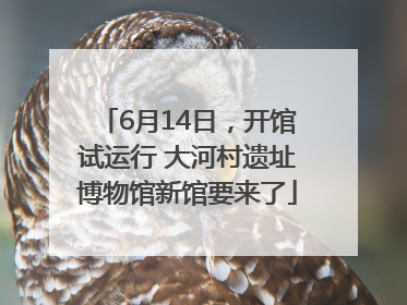 6月14日，开馆试运行 大河村遗址博物馆新馆要来了