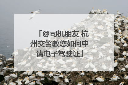 @司机朋友 杭州交警教您如何申请电子驾驶证