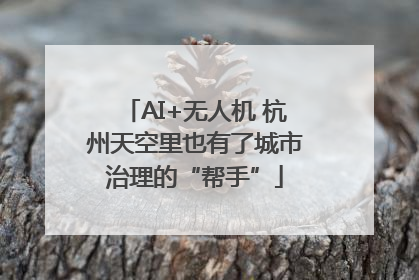 AI+无人机 杭州天空里也有了城市治理的“帮手”