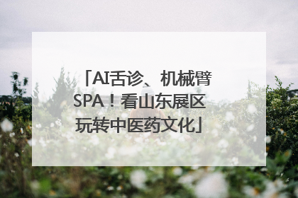 AI舌诊、机械臂SPA！看山东展区玩转中医药文化
