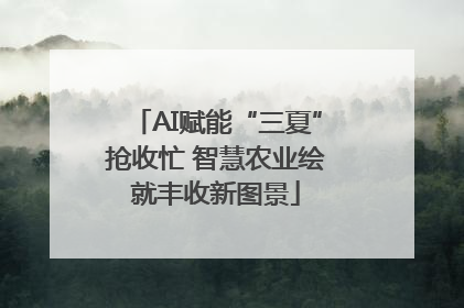 AI赋能“三夏”抢收忙 智慧农业绘就丰收新图景