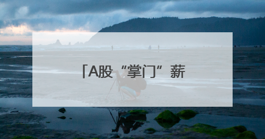 A股“掌门”薪酬曝光：13名董事长年薪超千万，药企霸榜前三甲
