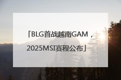 BLG首战越南GAM，2025MSI赛程公布