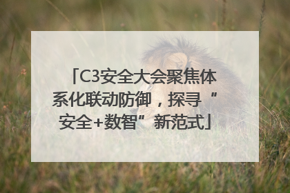 C3安全大会聚焦体系化联动防御，探寻“安全+数智”新范式