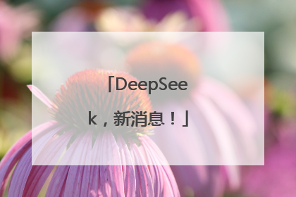 DeepSeek，新消息！