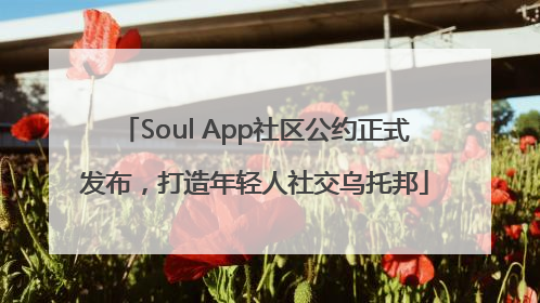 Soul App社区公约正式发布，打造年轻人社交乌托邦